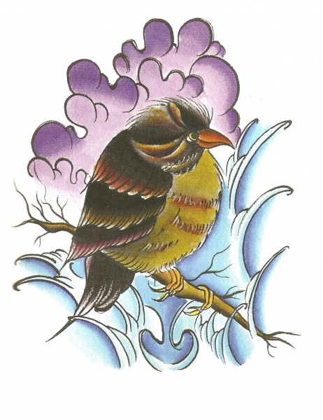 Card image cap